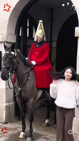 Tourist don’t allow the rules.#kingsguard #royalguard #horse #fypシ #tictok 