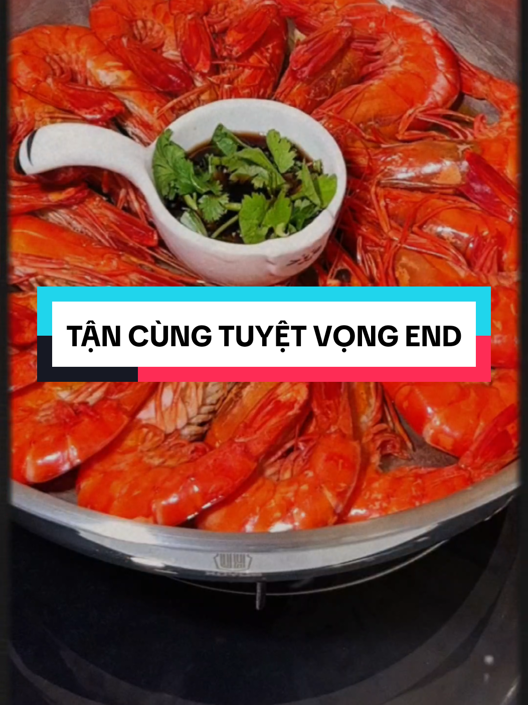 TẬN CÙNG TUYỆT VỌNG END #meohayke #kechuyen #fyp #xuhuong #foryou 