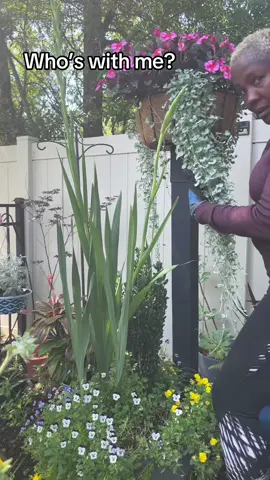 #zone9agardening #diylandscaping #gardening 