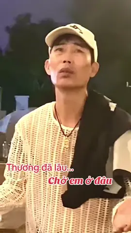 Đợi chờ là hạnh phúc#hiệp vịt nhạc đời#bolero 