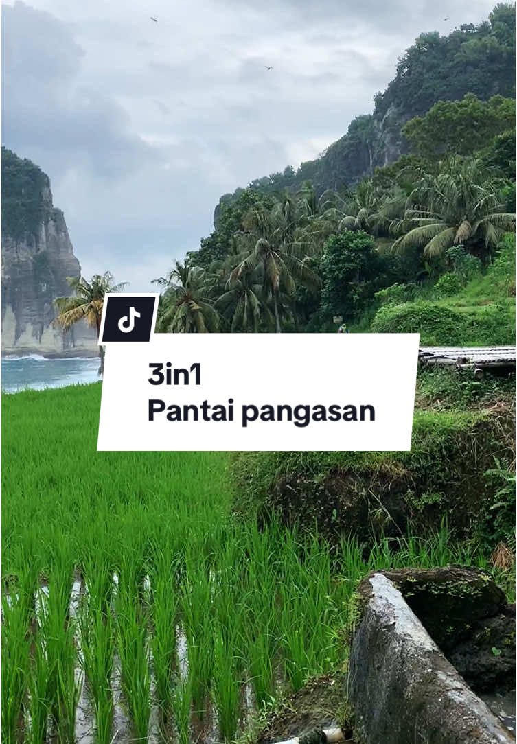 Anjaayyy,vitsea🌱🌊🍃 #pangasanstory #pantaipangasan 