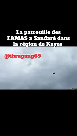 Armée malienne 