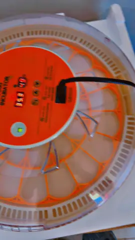 🐣 AgriElevage Pro – Nouvel Incubateur à 30 Œufs Disponible ! 🐣 Boostez votre activité avicole avec notre nouvel incubateur de 30 œufs, performant et abordable, idéal pour les éleveurs débutants comme expérimentés. 🔸 Capacité : 30 œufs 🔸 Tourneur d’œufs automatique : pour une incubation homogène 🔸 Contrôle digital de la température et de l’humidité 🔸 Design compact et économe en énergie 🔸 Prix exceptionnel : 55.000 FCFA seulement 💡 Un excellent rapport qualité/prix pour améliorer vos taux d’éclosion ! 📦 Stock limité – Commandez dès maintenant ! 📞 Contact & Infos : +221 76 156 26 36 👉 AgriElevage Pro – Votre partenaire en matériel avicole et agricole !#vente_de_materiel_avicole 