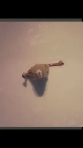 Doja cat - Streets | Live performance #dojacat #fyp #streets #rap #nickiminaj #cardib #diva 