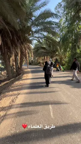 هم ماشي طريق العلماء#مشاية #زيارة_الاربعين 