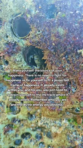 #Happiness #lifepath #source #energy #flow 