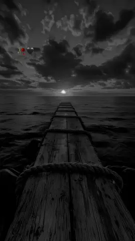 #🌿✨🖇💔💔🥹✨🖤🦋✨🖤🦋✨🖤🦋✨🖤🦋✨🖤🦋✨🖤🦋✨🖤🦋✨ 