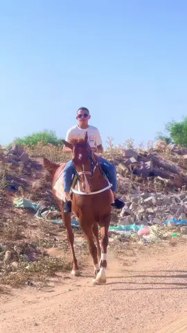 #زليتن #عشاق_الخيل 