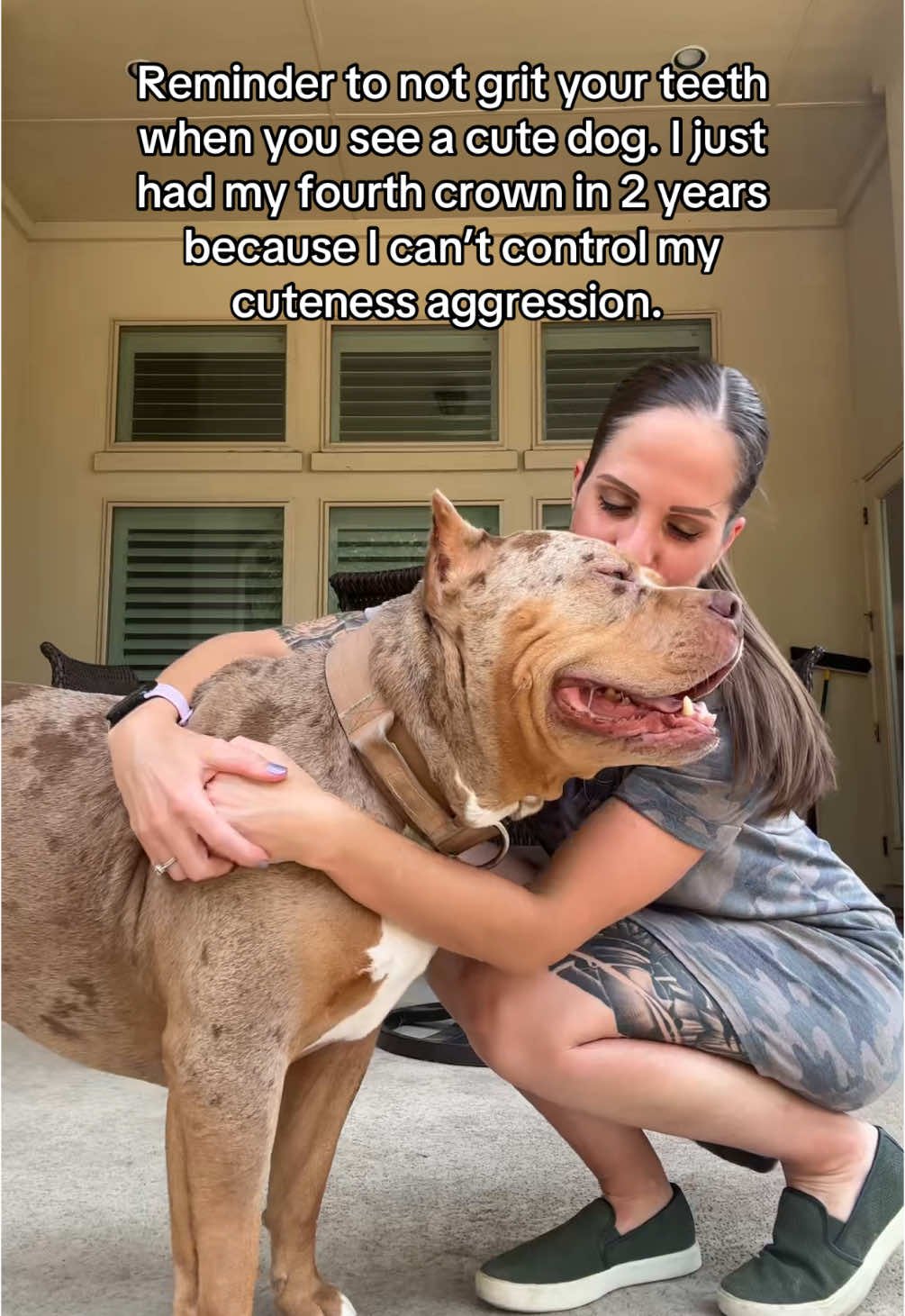 My teeth (and bank account) are suffering #dogsoftiktok #americanbully #xlbully 