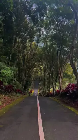 Siapa yang pernah lewat sini?  #purwokerto #purwokertoviral #dolanpurwokerto #fyp #beranda #xyzabc #pwt24jam #curugcipendok #cilongok #wisatapurwokerto #fypage 