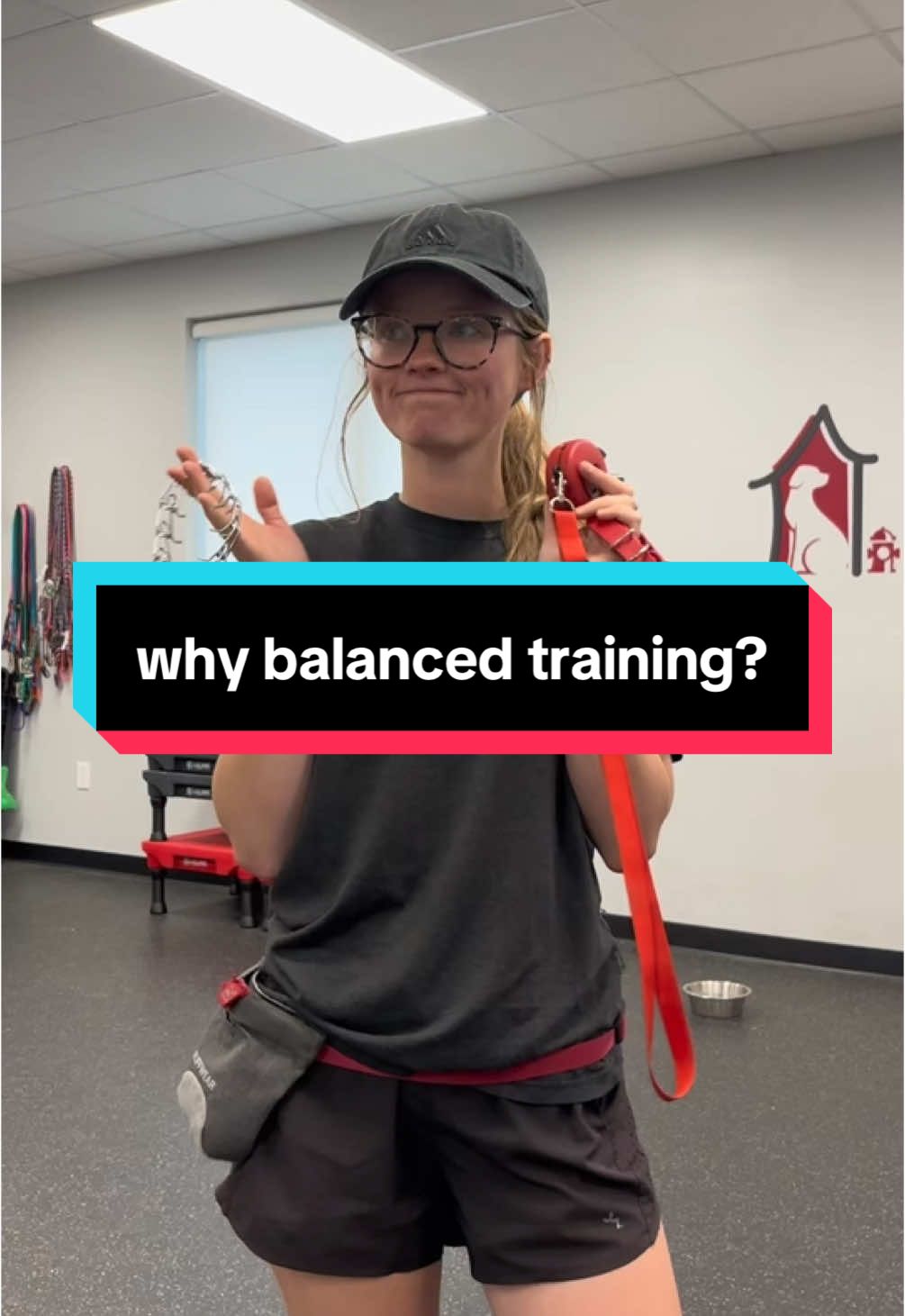 why balanced training? #dogtrainer #DogTraining #balancedtraining #balancedtrainer #balanceddogtraining #ecollar #prongcollar 