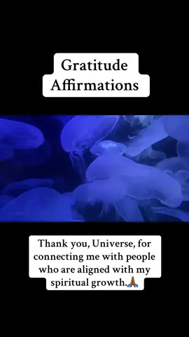 Expressing gratitude attracts more things to be grateful for. #affirmations #gratitude #lawofattraction #manifestation #spirituality #spiritualtiktok #abundance 