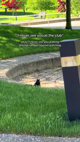 One of our favorite hobbies. 🐿️🫣 #college #collegelife #studentlife #student #collegegotmelike 