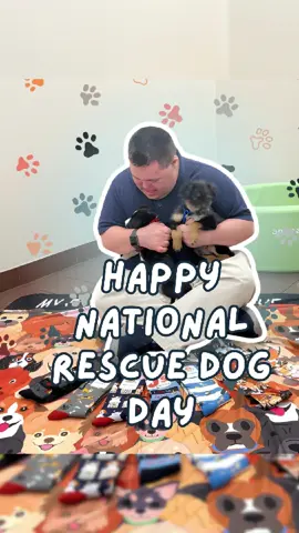 Today is National Rescue Dog Day—and we’re celebrating every wagging tail, muddy paw, and second chance at love. 🐾💛 Because rescue dogs don’t just find homes… They find hearts. They remind us what love, loyalty, and joy really look like. That’s why we created our “Who Rescued Who” Low Cut Socks and “Live Love Rescue” Athletic Socks—to honor that unbreakable bond. 🧦💙 And here’s the best part: 10% of every pair goes to North Shore Animal League America, the world’s largest no-kill rescue and adoption organization. So when you wear these socks, you're not just showing love— You're spreading it. 💫 👇Tag us in pics of your rescue pups. Let’s fill this day with happy tails and hopeful hearts. #NationalRescueDogDay #WhoRescuedWho #LiveLoveRescue #RescueDogsRock #AdoptDontShop #DogLovers #SockStyle #SocksThatGiveBack #JohnsCrazySocks