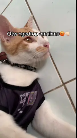 Dang di cek out mumpung promo cokkk😫 #fyp #viral 