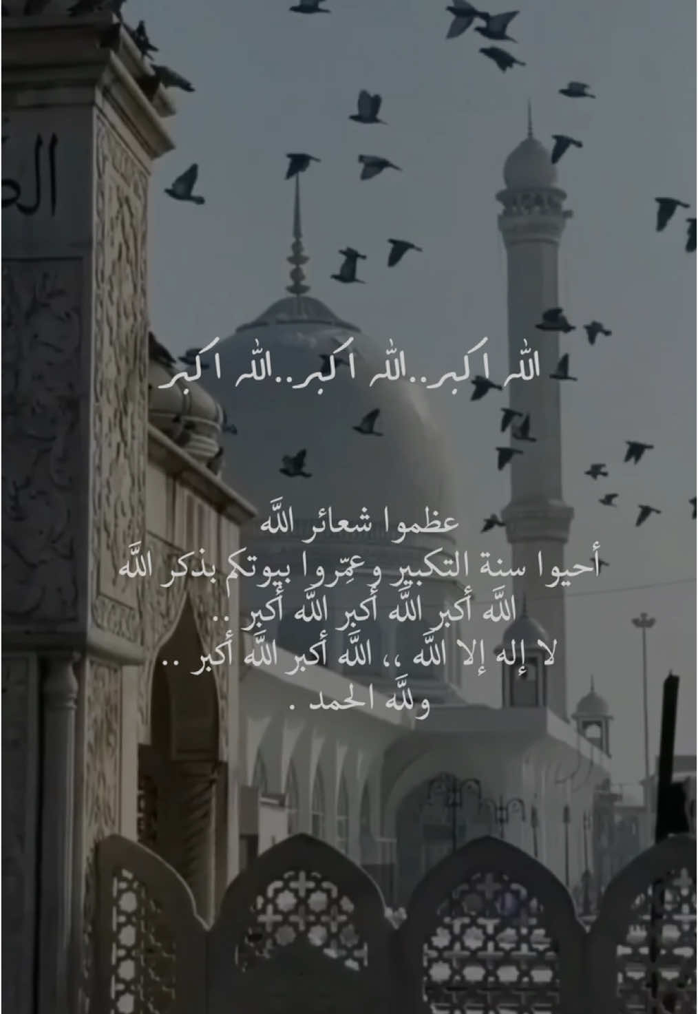 عظموا شعائر الله  أحيوا سنة التكبير وعمِّروا بيوتكم بذكر الله  الله أكبر الله أكبر الله أكبر ..  لا إله إلا الله ،، الله أكبر الله أكبر ..  ولله الحمد🕋🕊️#عشر_ذي_الحجة #اللهم_امين_يارب_العالمين 🕋🤍