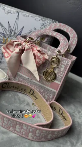 Siiii o no 🐰🐥#creatorsearchinsights #fyp #foryoupage #parati #fresita #guerita #morenita #designerpurse #dior #cute #fashion #viral #blowthisup #coquette #luxury #mexican #latina #OOTD #outfits #ootds #pursecollection #pursetok #purse #purseessentials 