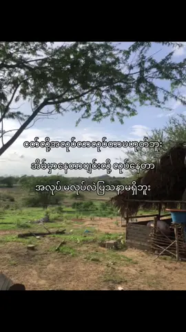 စောက်ကြီးစောက်ကျယ်တော့လာမလုပ်နဲ့#fyp #foryoupageofficiall #foryoupage 