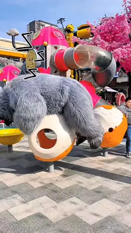 #funnyvideos #funny #funnyanimals #comedyvideo #comdy #lucu #fy #fypシ #foryou #xuhuong 