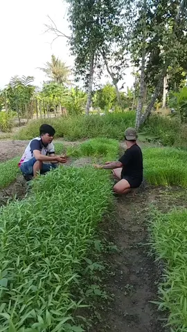 semangat terus kawan