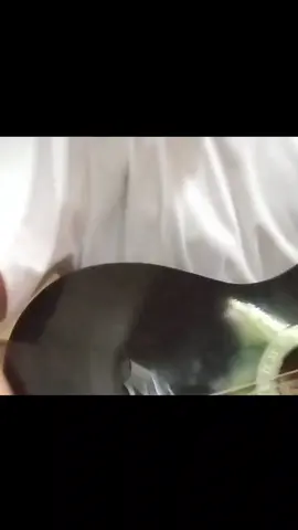 line without a hook #cover #linewithoutahook  #fyppppppppppppppppppppppp 