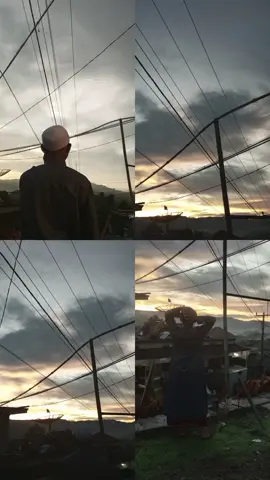 fyppppppppppppppppppplll