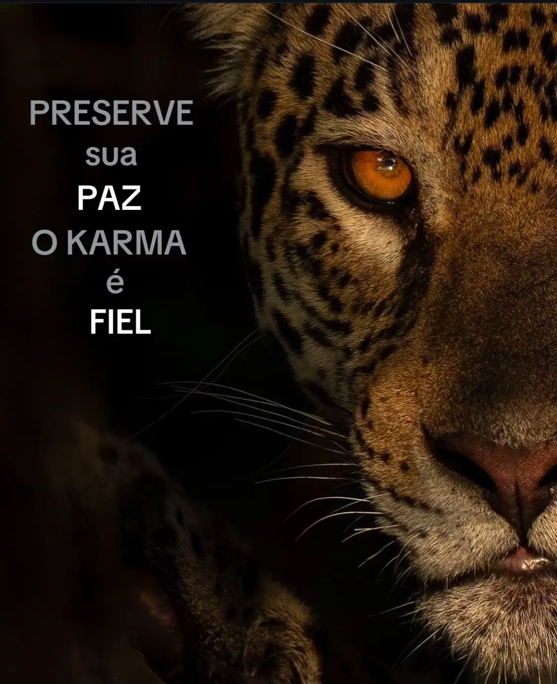 #vaiprofycaramba #foryoupage 