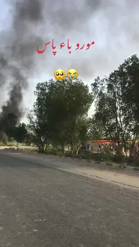 #مورو 
