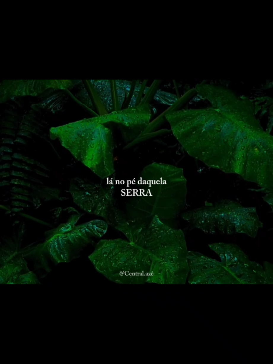 onde mora meus caboclos 💚🌿#caboclos #axé #umbanda #f #okê #pontos #espiritualidade #tipografia #entidades #guias #religião #macumbeiros #fyp #caboclo 