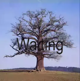 Waiting drives you crazy……#fypシ #radiohead #timelapse #yearning #hopecore #fypシ゚viral #viralvideo #makethisviral #earth 