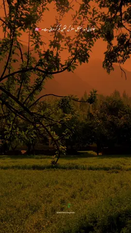 جن تعلقات کا مستقبل نہ ہو، انہیں بڑھانے سے اچھا ہے توڑ دیا جاۓ ہم زندگی میں بہت سے لوگوں سے ملتے ہیں اس کا ہرگز یہ مطلب نہیں کہ وہ ہمارے لئے بنے ہیں ــ۔🖤🥀 #donnotunderreviewmyvideo #aestheticbyghalib #aesthetics #aestheticvideos #aestheticvibes #unfreezemyacount #tikto #tiktokpakistan #tiktokteam #skardu #gilgitbaltistan #poetrystatus #foryou #sunset 