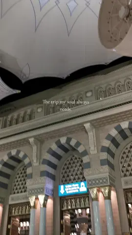يارسول الله قلبي لم يزل بإسمك يشدو🤍 #المدينة_المنورة #almadinh #يارب❤️ #madinah #fyp #اكسبلورexplore #يارب_عمرة_فالعشرينات 