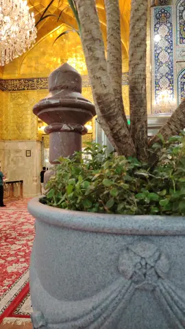 #كربلاء_مدينة_العشق_والعاشقين #💔🥀 