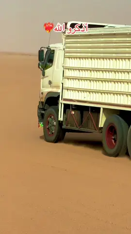 #كبابيش_العز❤️ 