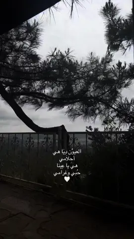##تصويري تصميمي #اكسبلورexplore #viralvideo #dancewithpubgm #fyppppppppppppppppppppppp 