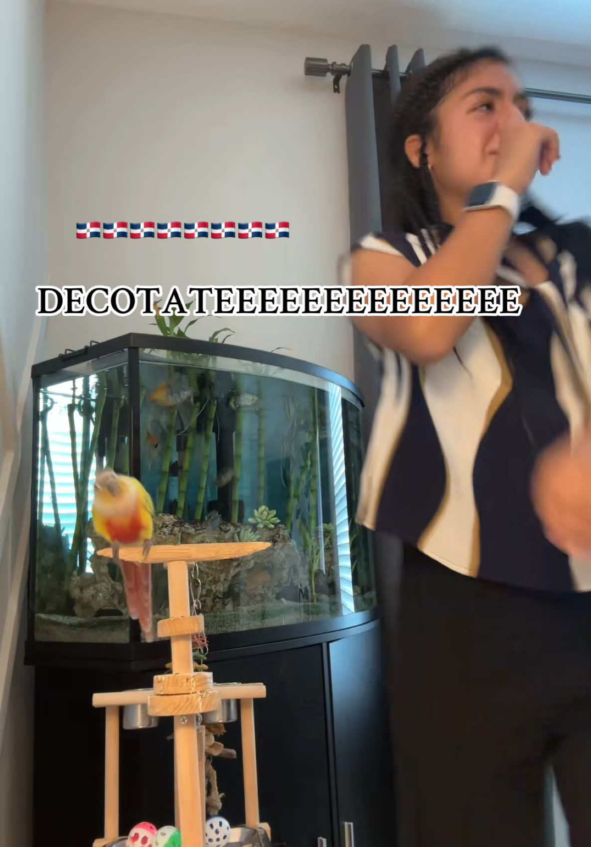 Rocky es el final 😭🤣🇩🇴  #descocotate #jeyone #fypシ #viral #trending #birdsoftiktok #dominicantiktok #doninicana #hispanictiktok #CasaTikTok #casalatina 