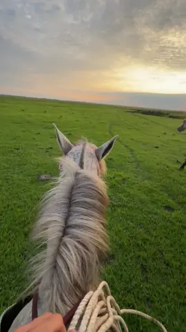 De repente una novilla me pasó por la barbilla con celaje de conejo 🤠