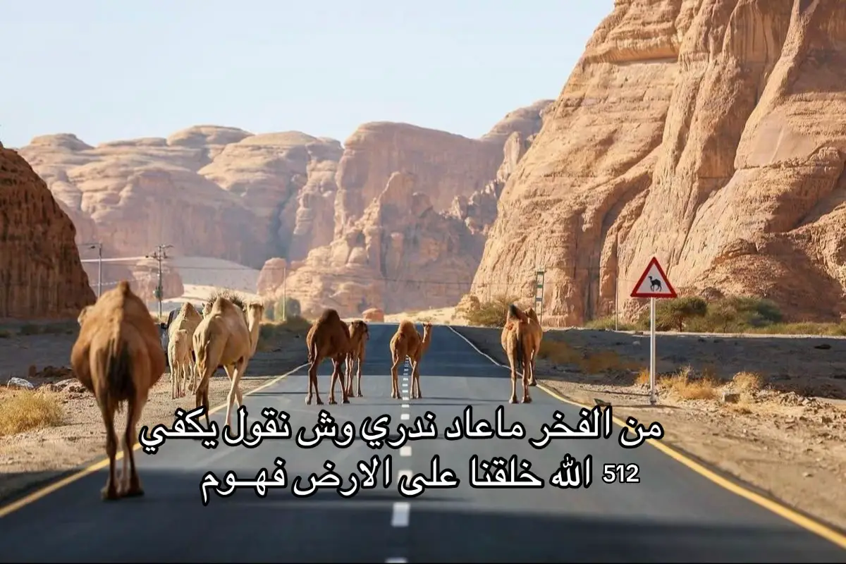 #فهم #512 #مكة #explore #الفهمي #fyp 