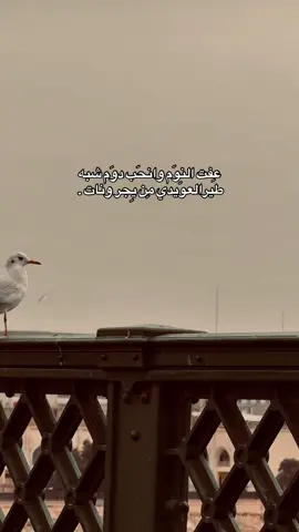 شبه طير العويدي من يجر ونات💔.  #شعر #fyp #تصويري #viral #f #باسم_الكربلائي 