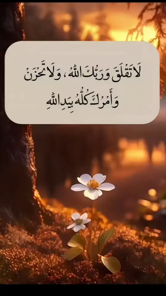 #خواطر 