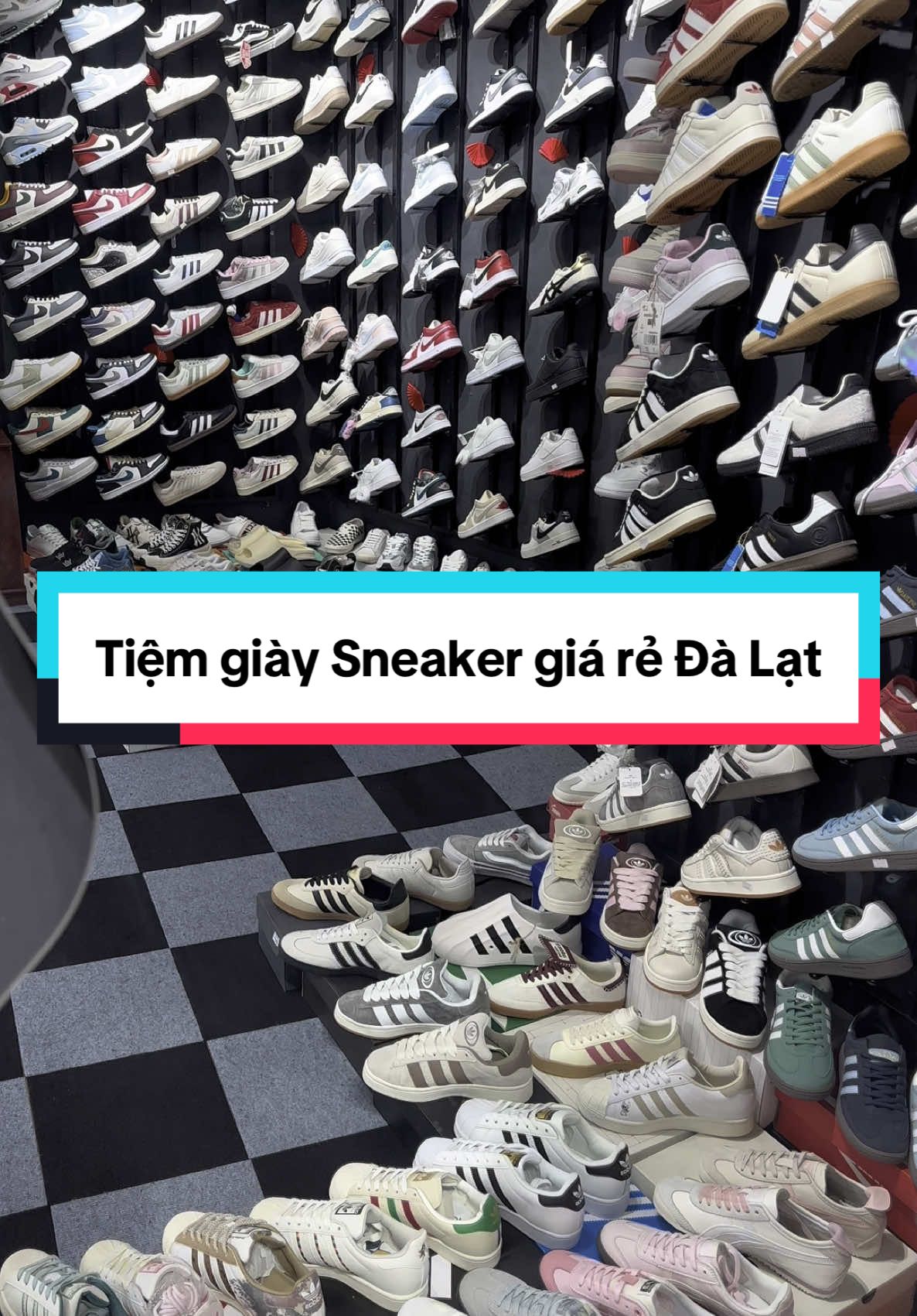 Tiệm giày Sneaker giá tốt ở Đà Lạt là đây chứ đâu 👟 #tiemgiaydalat #giaydalat #sneakerdalat #1996storesneaker #shopgiaydalat #xuhuong 