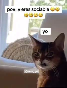 #parati #fyp #meme #memecut #viralvideos #viraltiktok 