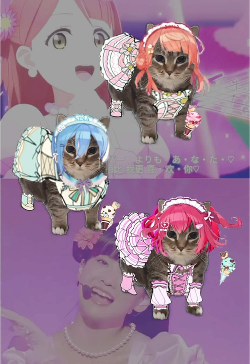 OIIA Catx愛♥スクリ～ム！ #uia #cat #AiScReam (ruby-chan) #lyrics #memes#memeslive  #trending #catlover #oiiaiiooiiai 