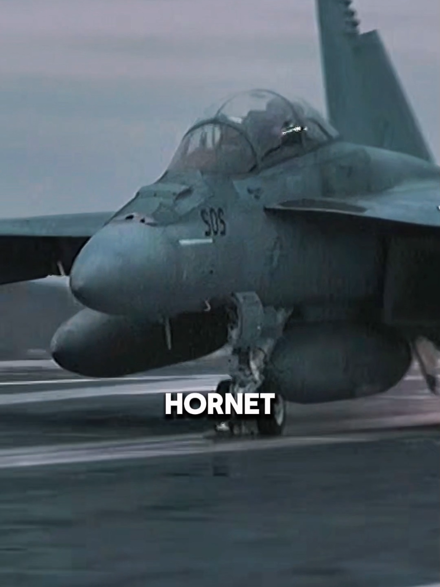 El poderoso F/A-18 Súper Hornet ✈. #fyp #f18hornet #f18supernornet #f18 #marina 