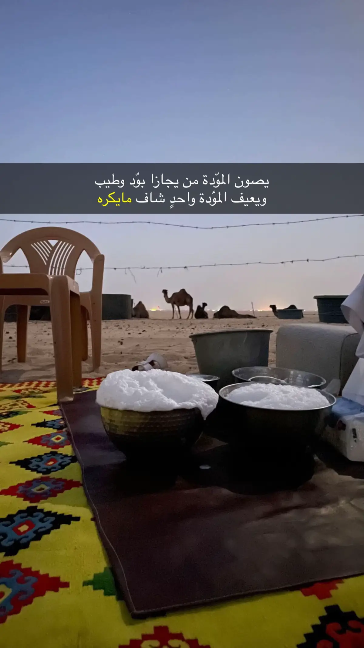 #قصائد_شعر_خواطر_غزل_مجرد_ذوق 