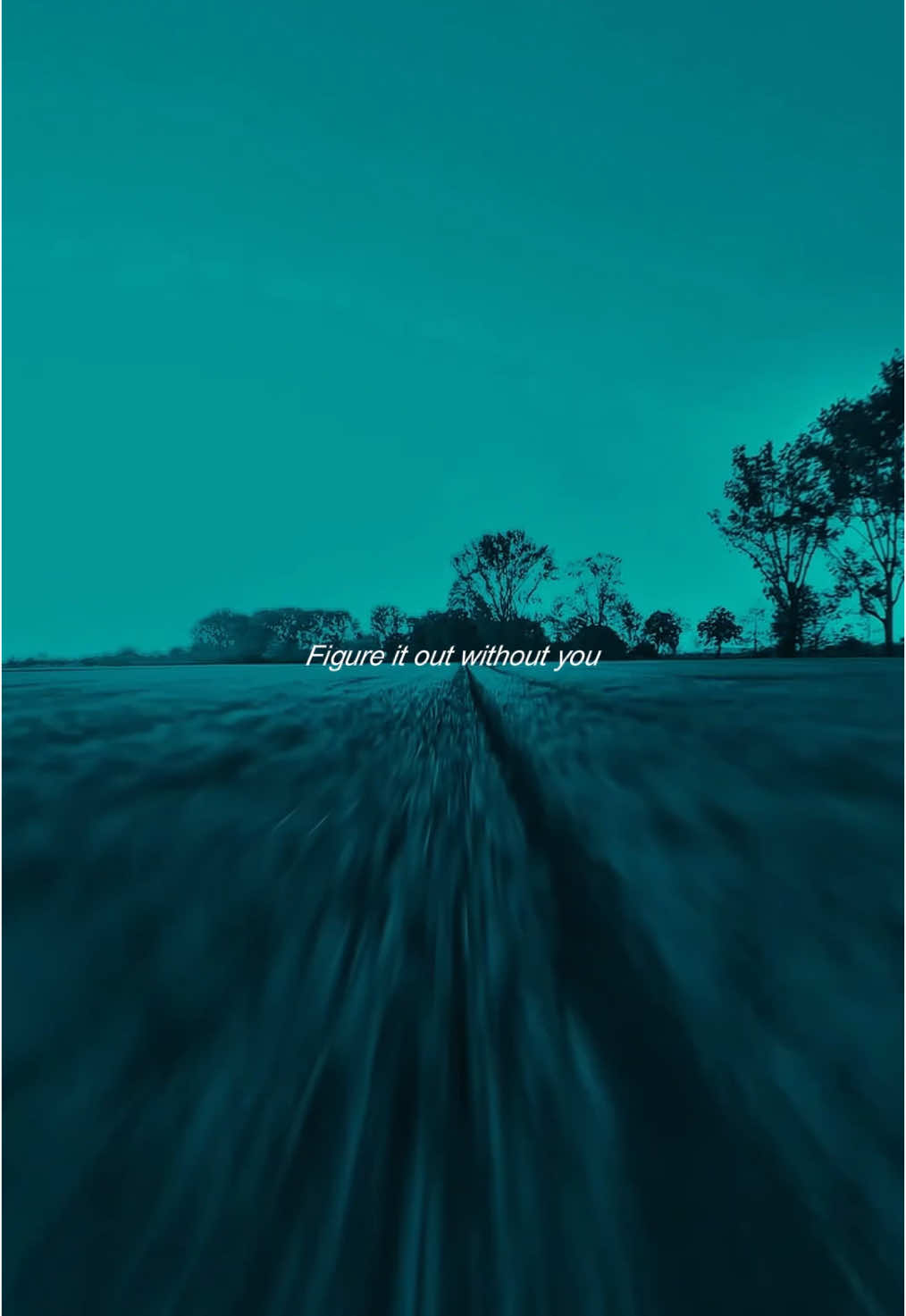 #withoutyou #avicii #lyrics 