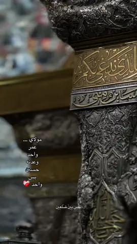 قربني اليك ياسيدي ومولاي  #العتبة_الحسينية_المقدسة #الامام_الحسين_عليه_السلام #اهل_البيت_عليهم_سلام #العتبة_العباسية_المقدسة #imamali #العتبة_العلوية_المقدسة #explore #explore #كربلاء_مدينة_العشق_والعاشقين 