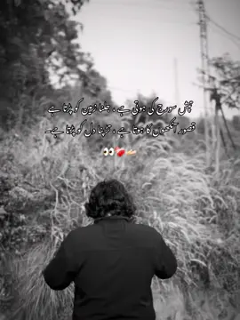 Her eyes 😭❤️‍🔥🤌🏻