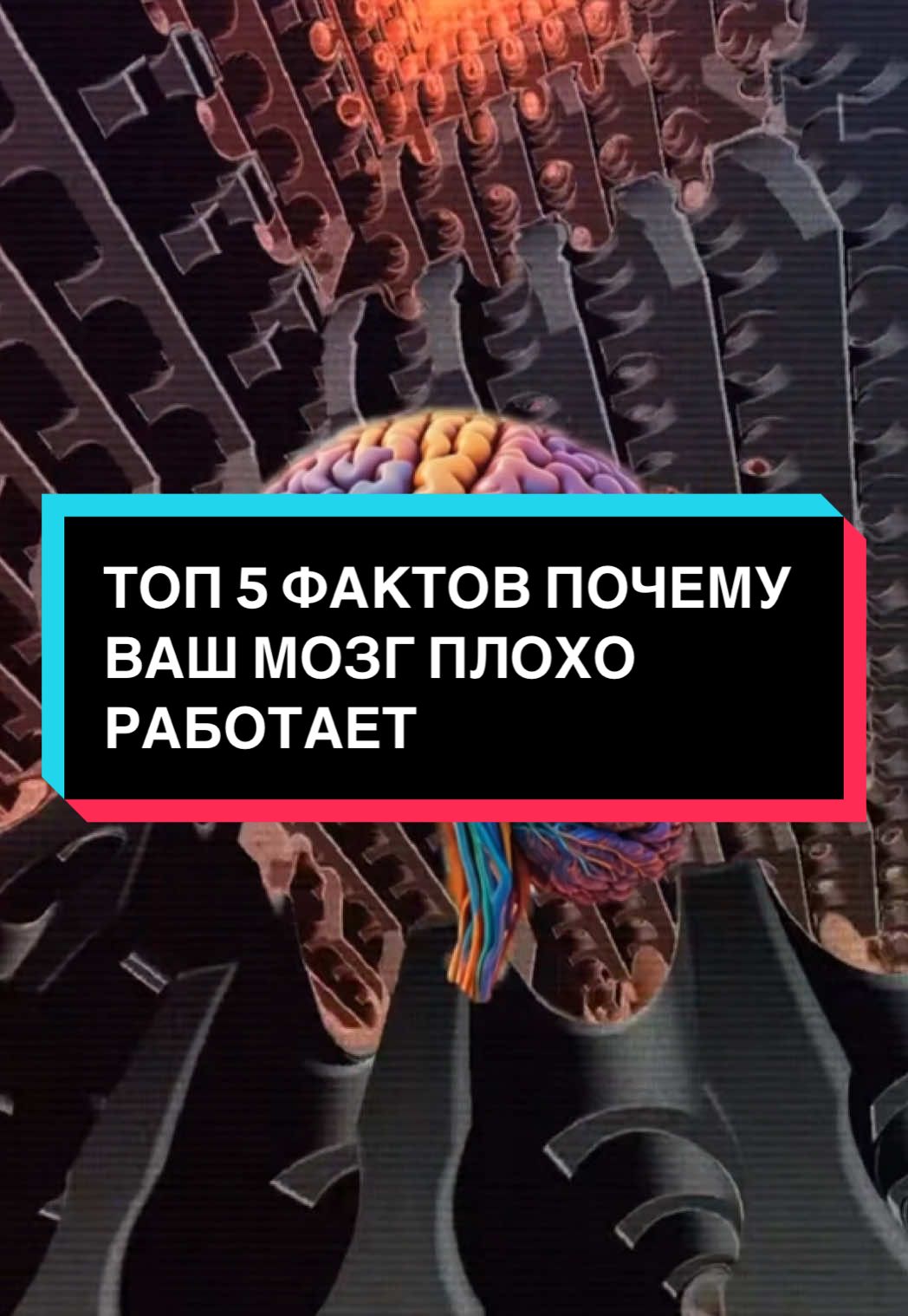 ТОП 5 ФАКТОВ О МОЗГЕ. #здоровьеидолголетие #мозг 