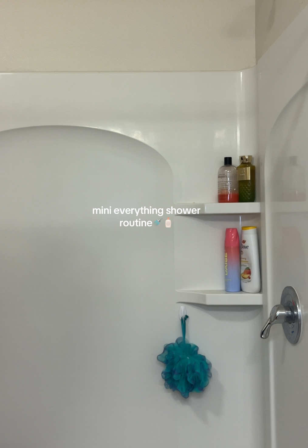 an almost everything shower🧖🏾‍♀️ @TONYMOLY USA @philosophy @daisebeauty @Tree Hut  #showerroutine #everythingshower #bodycareroutine #aesthetic #pinterestgirl   